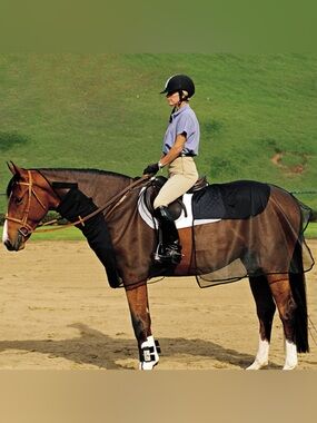 Cashel Quiet Ride Bug Armor NWT One Size